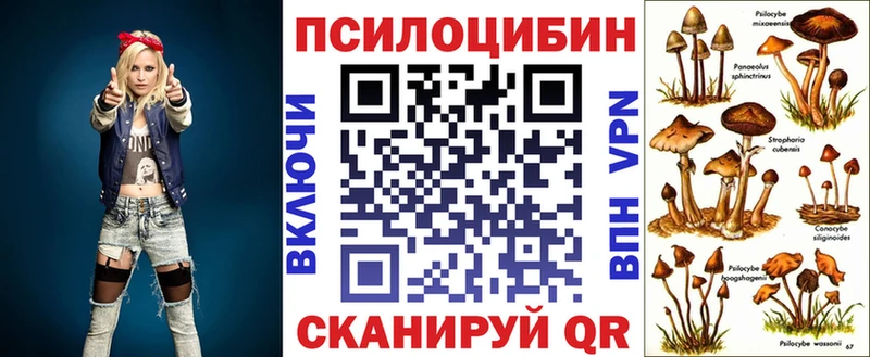 Псилоцибиновые грибы мицелий  наркота  Северо-Курильск 